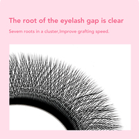 DIYDAY Extensions de cils en forme de W 6D pour salon de beauté, faux cils naturels individuels, fournitures d'extensions de cils pour le maquillage