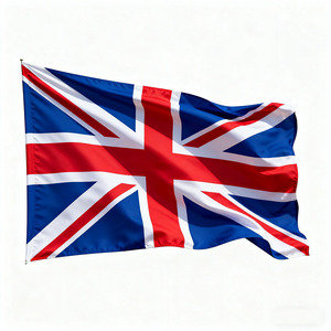 Bán buôn và tùy chỉnh cờ của các mô hình khác nhau, 100% polyester tổ chức sự kiện thể thao cờ, lễ hội ngoài trời lễ kỷ niệm cờ - Product Image 3