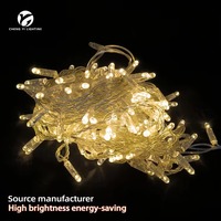 Guirnalda de Luces LED AC 110V IP65, 10M 100 LEDs, Cable de PVC, Blanco Cálido 2700K, Color Personalizado, Decoración Comercial para Árboles de Navidad en Exteriores