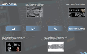DERRY pemindai CT dokter hewan, peralatan pemindai CBCT tomografi terkomputerisasi sinar kerucut - Product Image 6