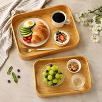 Nieuwe 2 stuks wegwerp bamboe serveerschaal met handvat, minimalistisch design voor visgerecht, snack, ontbijt, fruit, milieuvriendelijke schaaltjes