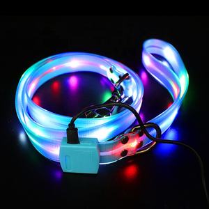 Ensemble de collier et de laisse réglables de sécurité nocturne - Product Image 4