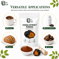 Voedingsmiddelengekeurd 10:1 Chaga-extractpoeder is geschikt voor gebruik in traditionele Chinese tabletten, poeders en koffie.