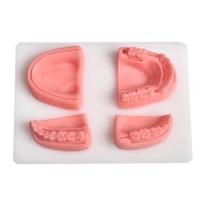 Kit de Práctica de Sutura Dental - Modelo de Entrenamiento de Sutura para Cirugía Oral con Encías de Silicona e Instrumentos de Acero Inoxidable - Product Image 2