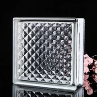 Briques de verre creuses à bord blanc de 50/80mm d'épaisseur pour la cuisine lumières LED teintées Match éclairage amélioré solide médical industriel