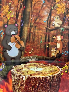 Kit Vente en Gros pour Studio Séance Photo Pliable Toile Photobooth Noël Papier Fond Photographie pour Votre Photographie - Product Image 4