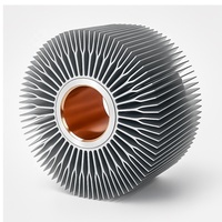 Dissipateur thermique sans ventilateur pour éclairage public, en aluminium extrudé forgé à froid, à ailettes, pour refroidissement par air de PCB, LED, COB et semi-conducteurs