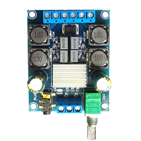 Carte amplificateur Audio numérique TPA3116, caisson de basses, amplificateurs de haut-parleurs DC4.5V-24V 2x50W