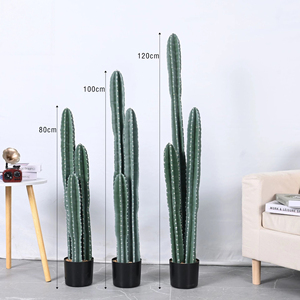 Fabricants <span class=keywords><strong>en</strong></span> gros de plantes artificielles, <span class=keywords><strong>cactus</strong></span> artificiel, <span class=keywords><strong>cactus</strong></span> de différentes tailles, plantes vertes pour la décoration de la maison, mariage, sol - Product Image 4