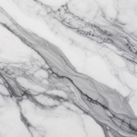 Dalle de pierre frittée Fendi White Time Glaze avec veinage gris pour comptoir, mur, sol, projet hôtelier de luxe, villa