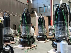 Bomba Sumergible Vertical de Acero Inoxidable de Acoplamiento Cerrado <span class=keywords><strong>QW</strong></span>, Sin Obstrucciones, Control Totalmente Automático para Uso Agrícola - Product Image 3