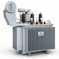Transformateur de distribution triphasé immergé dans l'huile 11 kV pour réseau d'énergie