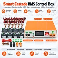 ECBMS 16S-256S Kit DIY BMS Haute Tension Maître-Esclave 100A 300A 192S 256S 1000V NMC LCD Boîtier de Contrôle BMS Haute Tension