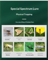 Landbouwgele kleefvallen voor insecten, dubbelzijdige UV-bestendige kleefvallen voor kassen, boomgaarden en groenteteelt
