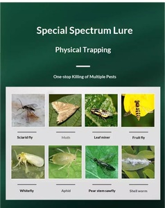 Trampa Adhesiva Amarilla para Insectos Agrícolas, Atrapa Insectos de Doble Cara Resistente a los Rayos UV para Invernaderos, Huertos y Granjas de Vegetales - Product Image 5