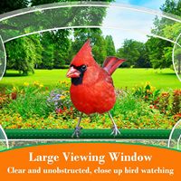 Comedero para Pájaros de Plástico Transparente Grande para Exteriores con Diseño de Ventana y Fuerte Ventosa para Loros