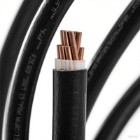 Cable Eléctrico de Alta Tensión de Cobre de un Solo Núcleo 1/0 2/0 3/0 4/0 THHN THWN XHHW THW 750mcm XLPE PVC 16A 30A para Estación de Energía