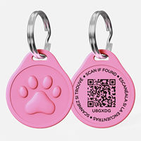 Collier anti-perte personnalisé pour chien, double puce NFC vierge en silicone, collier tendance en dentelle personnalisable pour gravure