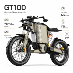 Para Motocicleta Todoterreno GT100, 11340W, 72V50Ah, Cuadro de Aluminio 6061, Neumático CST, Freno de Disco Hidráulico, Modo Deportivo, 100km/h - Product Image 1