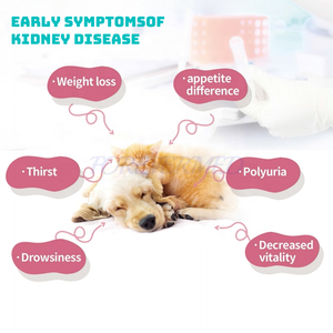 Analyseur quantitatif d'immunofluorescence vétérinaire T4 TSH Progestérone automatique POCT Machine de <span class=keywords><strong>test</strong></span> pour chien - Product Image 2