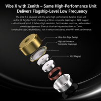 Écouteurs intra-auriculaires KZ Vibe X Dynamic Bass IEM avec boîtier en métal et plastique de qualité supérieure, câble remplaçable, prise jack 3,5 mm et Type-C, casque audio