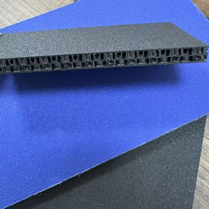 Panneau en nid d'abeille en PP de 4x8 pieds et 7-13 <span class=keywords><strong>mm</strong></span>, matériau pour étuis de transport et valises ATA - Product Image 4