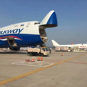 Logistik FBA Berbasis di Cina LCL Door-to-Door Pengiriman Ekspres Udara 3-5 Hari Konsultasi Barang Berbahaya Penyimpanan Asal Tujuan - Product Image 1