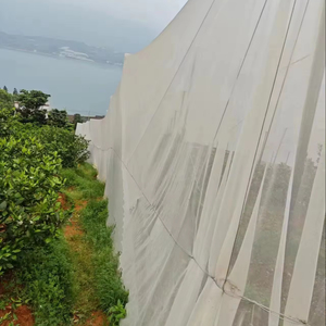 New Product PP Insect-proof <strong>Net</strong> Mesh <strong>Rope</strong> Interlocking <strong>Weaving</strong> Grasshopper Green Greenhouse Vegetables <strong>Net</strong> - Product Image 3