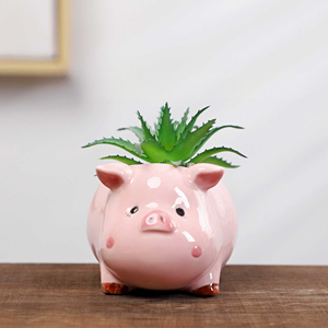 MSH Jardinière en <span class=keywords><strong>céramique</strong></span> mignonne en forme d'ormeau et de cochon, pot à succulentes de bureau, décoration de <span class=keywords><strong>jardin</strong></span> - Product Image 5