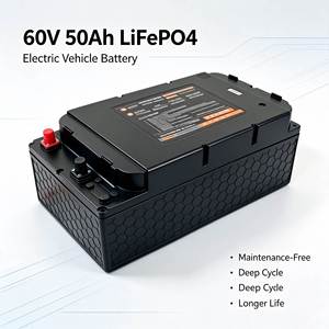Batterie au phosphate de fer et de lithium 60V 50Ah, 4000 cycles profonds, BMS intelligent intégré, garantie 1 an pour vélo électrique à 2 roues - Product Image 1