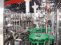 Sapvulmachine, fruit sap bottelapparatuur, sap warmvulmachine