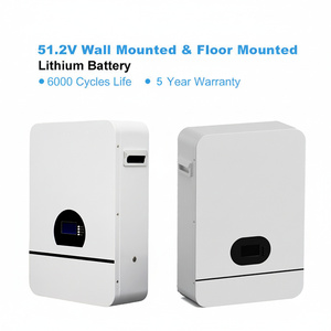 Système de batterie solaire LiFePO4 à semi-conducteurs LN-51.2-100 51.2V 100Ah de haute qualité pour stockage domestique séparé, 6000 cycles, -30-60°C - Product Image 1