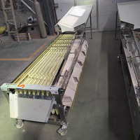 Jiayang Commerciële Sorteer- en Graderingsmachine voor Avocado's, Tomaten, Appels, Mango's, Meloenen, Aardappelen, en het sorteren op maat van fruit.