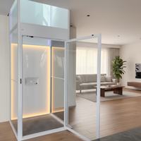 Ascensore Domestico Wemet a Basso Costo, Elevatore per Casa a 2 Piani