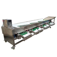 Automatische Tomaat Citroen Fruit Groente Sorteerder Olijf Perzik Sorteermachine Aardappel Sorteermachine