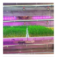 Conteneur de germination automatique pour aliments animaux de 40 pieds, système de culture hydroponique de fourrage, conteneur de culture d'orge, serre