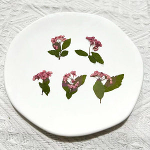Naturale dry press <span class=keywords><strong>fiore</strong></span> <span class=keywords><strong>narciso</strong></span> candela fare torte decorazioni fiori secchi pressati per resina - Product Image 4