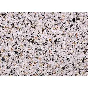 用于台面和地板图案的300x300mm多色大理石瓷砖水磨石