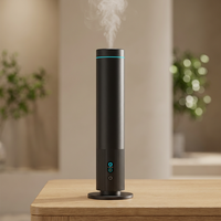 Diffuseur d'aromathérapie sans eau personnalisé à étiquette privée, 120 ml, sans fil, longue durée, batterie 9000 mAh, pour la maison et le bureau