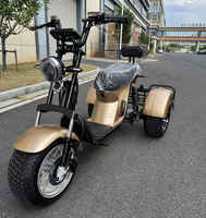 Triciclo Eléctrico de 3 Ruedas de 4000w de Potencia, Directo de Fábrica, para Adultos, con Gran Autonomía de 50-60km, Motocicleta Eléctrica de 3 Ruedas