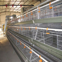 Cages à poules pondeuses d'occasion à bas prix, cages à volailles durables et faciles à installer pour élevages de poulets
