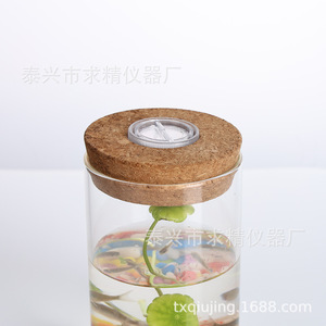 Glass Vase With Fairy Light Round Hydroponic Planter For Office Decoration Landscape <b>Bottle</b> - Product Image 4