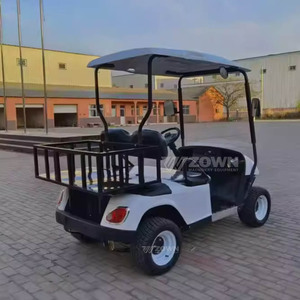 Voiture de golf électrique 2 places à bas prix, batterie lithium 48V avec contrôleur et certification CE, design créatif - Product Image 5