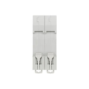 Disjoncteur miniature (MCB) CHFEC DomA63 2P 230V 6kA Protection thermomagnétique Courbe BCD 'C' Montage sur rail Polycarbonate - Product Image 5