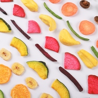 Assortiment natuurlijke gemengde zoete gedroogde groente- en fruitchips: okra, sperziebonen, champignons, banaan, bieten, pompoen. Gezonde snack, bulkverpakking.