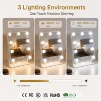 Miroir de maquillage Holly Wood à 9 ampoules avec éclairage LED à intensité variable en continu, commande tactile, vente en gros OEM