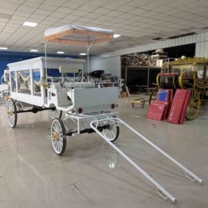 รถศพไฟฟ้าคุณภาพสูงและรถขนส่งพิเศษ - Product Image 3