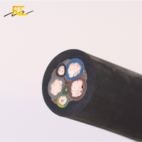 RUITINN Câble et fil électrique de pompe 3x10mm 3x25mm 3x16mm Câble en caoutchouc d'alimentation secteur étanche