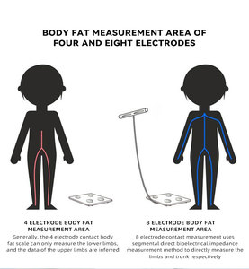 <span class=keywords><strong>IOS</strong></span> <span class=keywords><strong>Android</strong></span> App API SDK Mini Bluetooth sức khỏe thông minh phân tích cơ thể trọng lượng cơ thể quy mô - Product Image 4