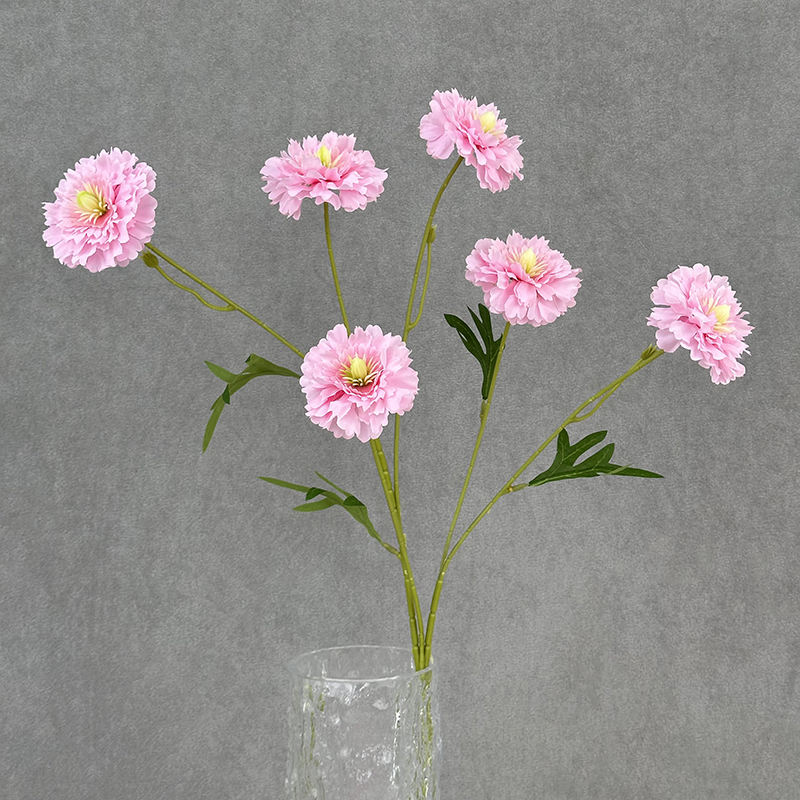 สีชมพูอ่อน